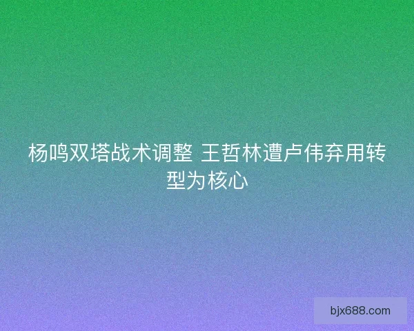 杨鸣双塔战术调整 王哲林遭卢伟弃用转型为核心